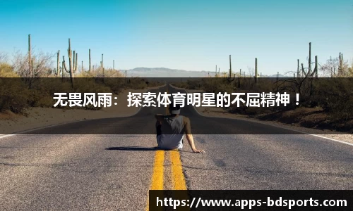 bob半岛